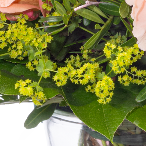 Blumenstrauß Frühlingsherz mit Vase & Ferrero Giotto 3er