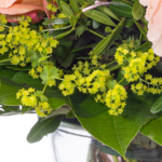 Blumenstrauß Frühlingsherz mit Vase & Ferrero Giotto 3er