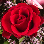 Rose Bouquet Harmony with vase & 3 Ferrero Giotto