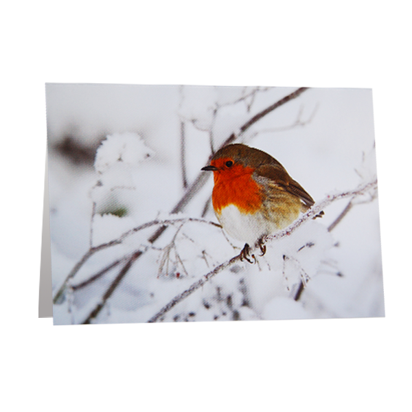 Motivkarte Winterzauber: Vogel im Schnee