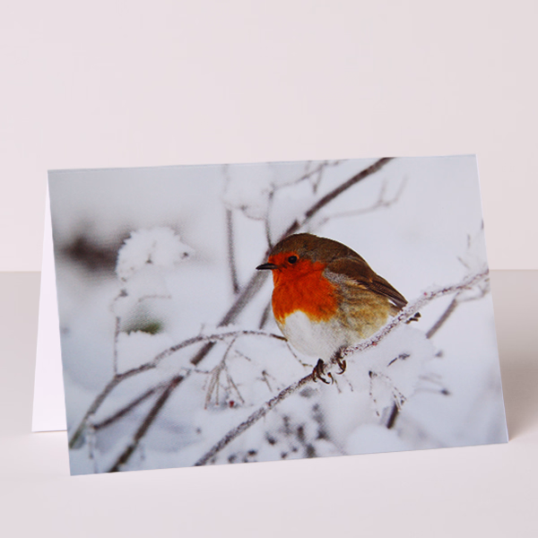 Greeting Card Winter Magic