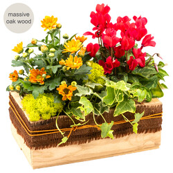 Arrangement Schöner Tag in a wooden box Arrangement Schöner Tag in a wooden box