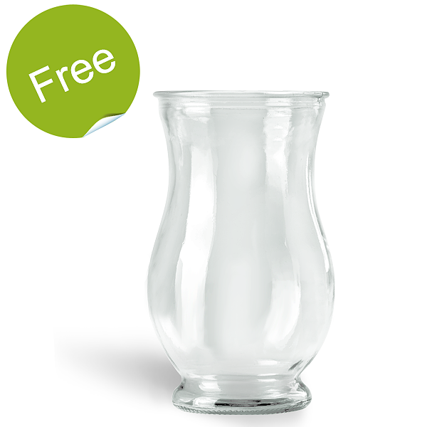 Glass Vase Marie