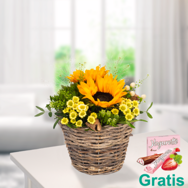 Arrangement Sonnengruß Arrangement Sonnengruß
