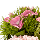 Flower Bouquet Sonnenaufgang with vase & Ferrero Raffaello