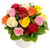 Bouquet of mixed coloured roses