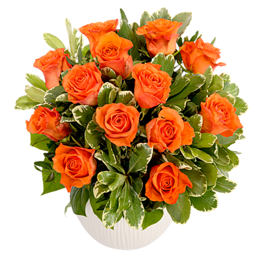 Bouquet of orange roses