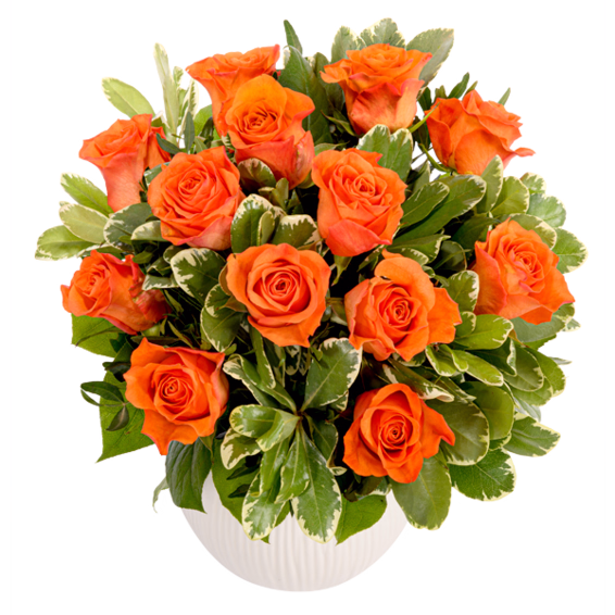 Bouquet of orange roses