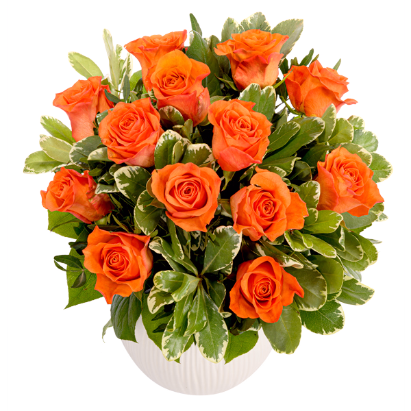 Bouquet of orange roses