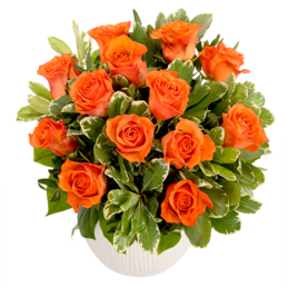 Bouquet of orange roses