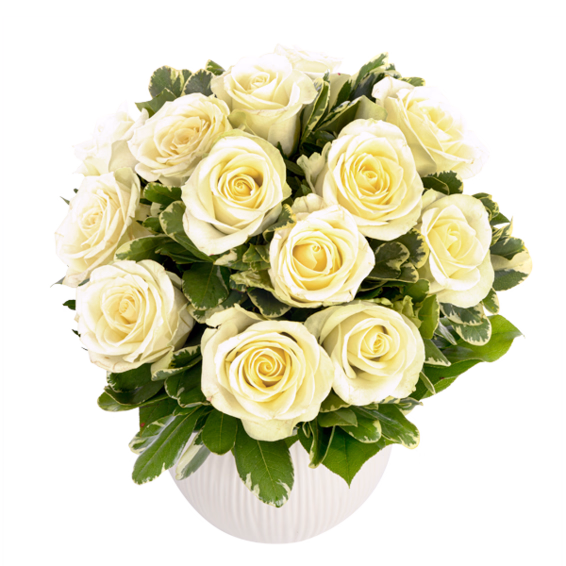 Bouquet of white roses