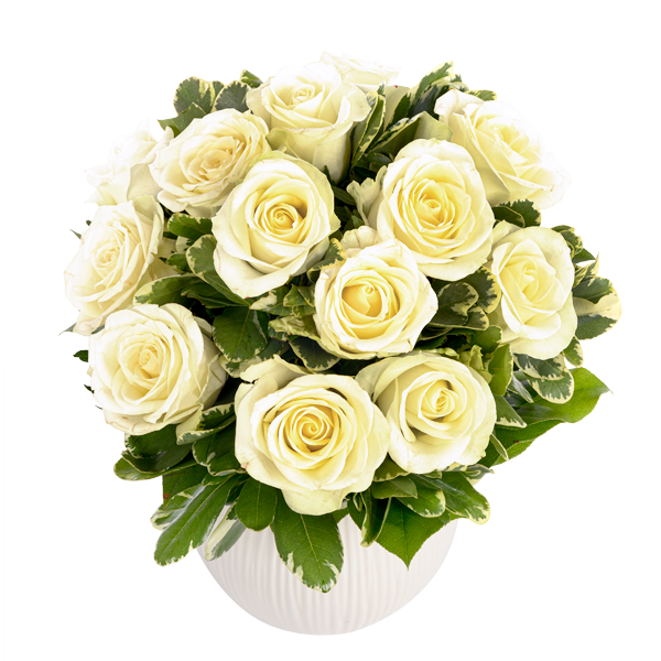 Bouquet of white roses