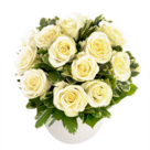 Bouquet of white roses