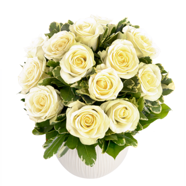 Bouquet of white roses