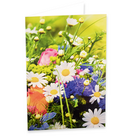 Motivkarte Neutral Blumenwiese