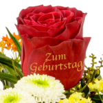 Premium Bouquet „Zum Geburtstag“ with Premium Vase & 3 Ferrero Giotto