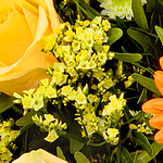 Premium Bouquet „Zum Geburtstag“ with Vase & premium vase