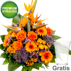 Premiumstrauß Paradies Premiumstrauß Paradies