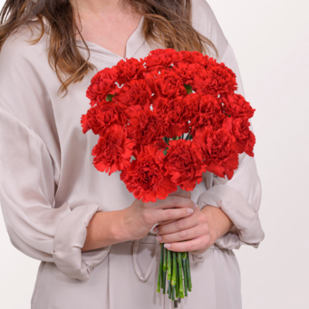 19 rote Frauentags-Nelken im Bund mit Vase & Ferrero Giotto 3er