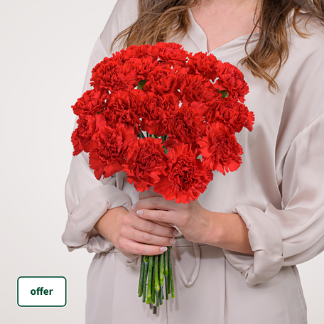 19 red carnations in a bunch