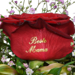 Blumenstrauß „Beste Mama“ mit Vase & Ferrero Giotto 3er