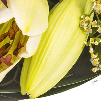 Sympathy Bouquet in white and red