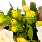 Blumenstrauß Goldglanz mit Vase & 2 Ferrero Rocher