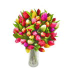 Tulpenstrauß