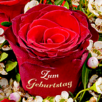 Rose Bouquet „Zum Geburtstag“ with vase