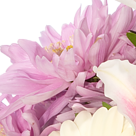 Blumenstrauß Glücksmoment mit Vase & Ferrero Raffaello