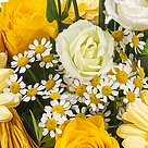 Blumenstrauß Sonnengelb mit Vase & Ferrero Raffaello