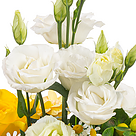 Flower Bouquet Sonnengelb with vase & Ferrero Raffaello