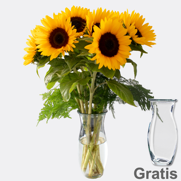 7 Sonnenblumen im Bund mit Vase