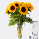 7 Sonnenblumen im Bund mit Vase