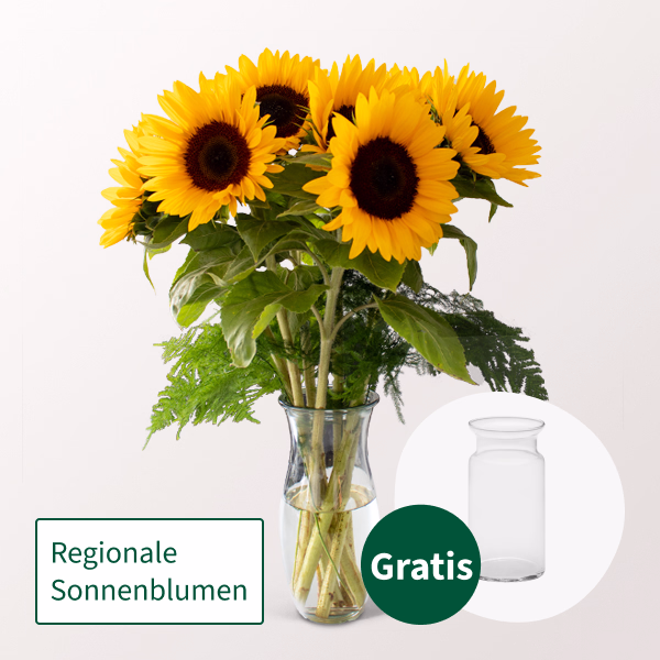 7 Sonnenblumen im Bund mit Vase