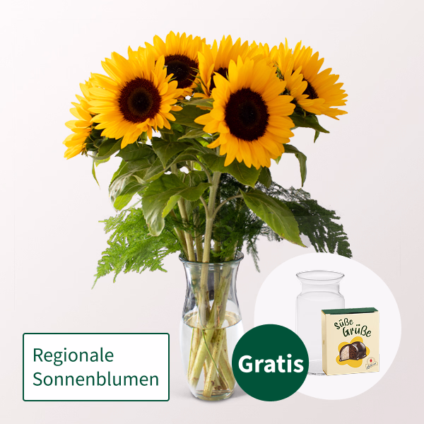 7 Sonnenblumen im Bund mit Halloren Kugeln & Vase