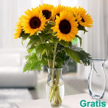 7 Sonnenblumen im Bund 7 Sonnenblumen im Bund