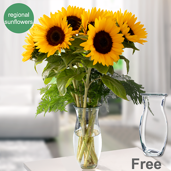 Bunch of 7 sunflowers with vase