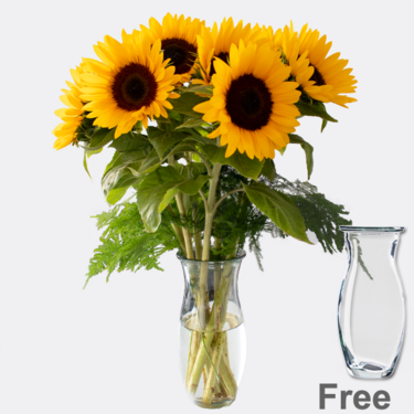 Bunch of 7 sunflowers with Vase