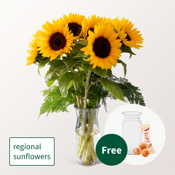 Bunch of 7 Sunflowers with vase & 3 Ferrero Giotto