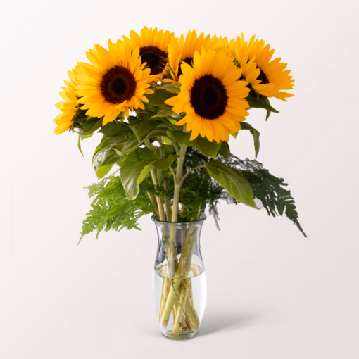 Bunch of 7 Sunflowers with vase & 3 Ferrero Giotto