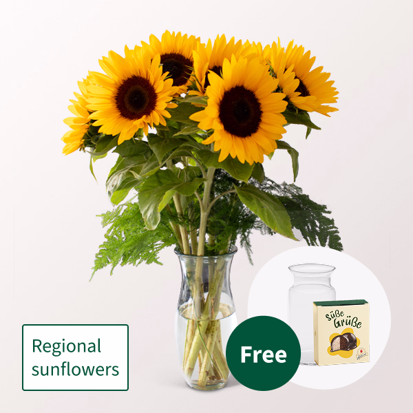 Bunch of 7 Sunflowers with Halloren Balls & vase