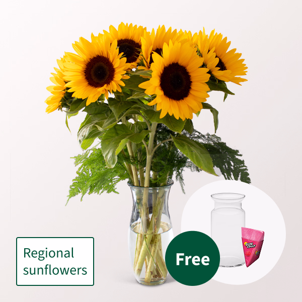 Bunch of 7 Sunflowers with SunLolly Raspberry & vase