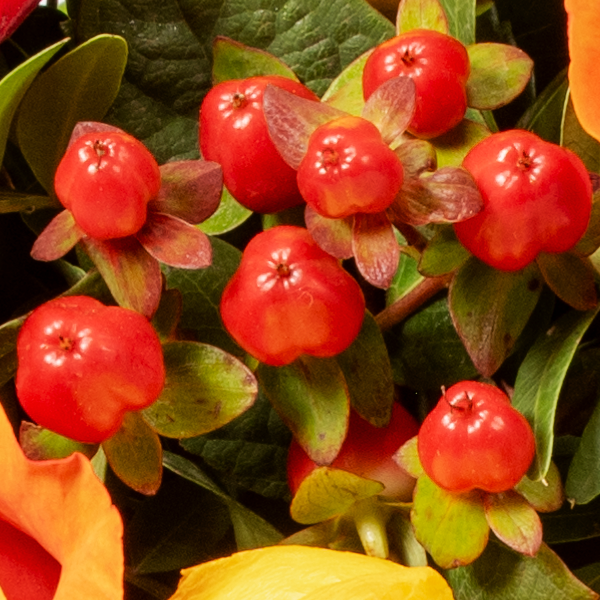 Blumenstrauß Blütengold mit Vase & Ferrero Giotto 3er & Teaballs