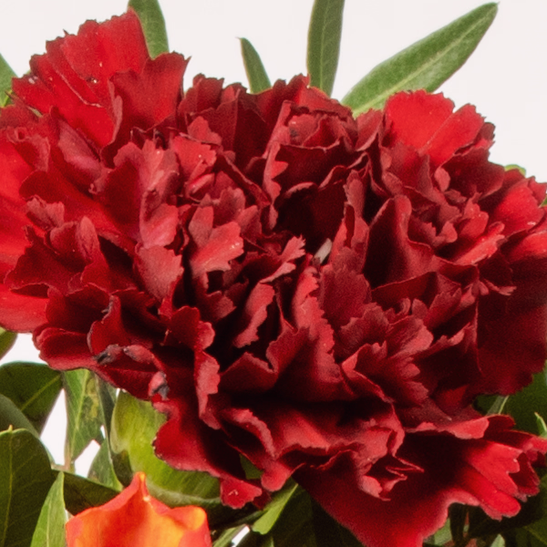 Blumenstrauß Blütengold mit Halloren Kugeln & Vase