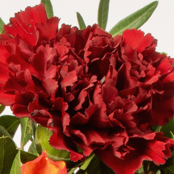 Blumenstrauß Blütengold mit Vase & Ferrero Giotto 3er & Teaballs