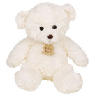 Teddy Bär