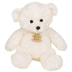 Teddy Bär