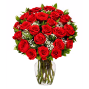 Long Stemmed Red Roses