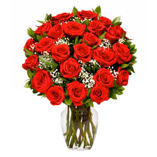 Rote langstielige Rosen